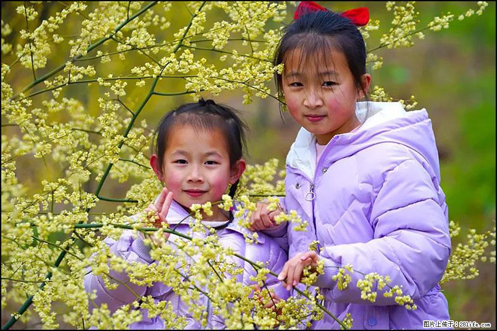 【春天，广西桂林灌阳县向您发出邀请！】米珠山前有片山苍子花在飘香 - 游山玩水 - 和田生活社区 - 和田28生活网 ht.28life.net