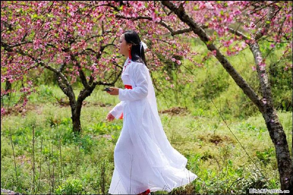 【春天，广西桂林灌阳县向您发出邀请！】官庄村有个醉美的桃花园 - 游山玩水 - 和田生活社区 - 和田28生活网 ht.28life.net