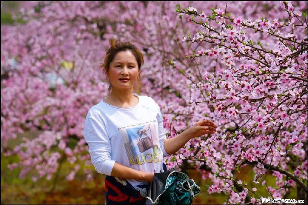 【春天，广西桂林灌阳县向您发出邀请！】官庄村有个醉美的桃花园 - 游山玩水 - 和田生活社区 - 和田28生活网 ht.28life.net