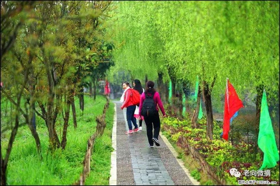 【春天，广西桂林灌阳县向您发出邀请！】江口老街又逢春 - 游山玩水 - 和田生活社区 - 和田28生活网 ht.28life.net