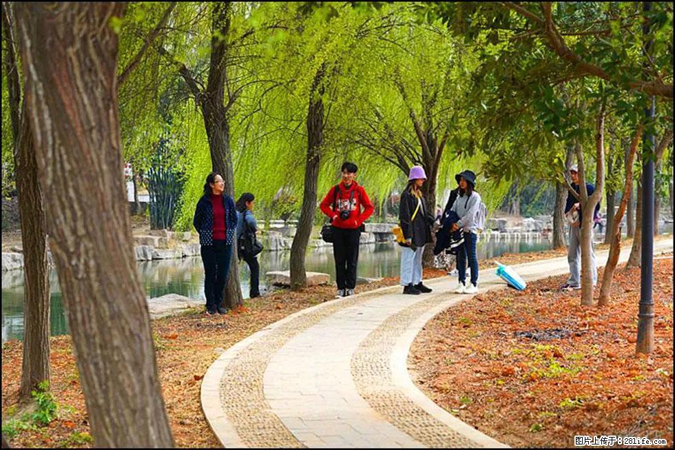【春天，广西桂林灌阳县向您发出邀请！】江口老街又逢春 - 游山玩水 - 和田生活社区 - 和田28生活网 ht.28life.net