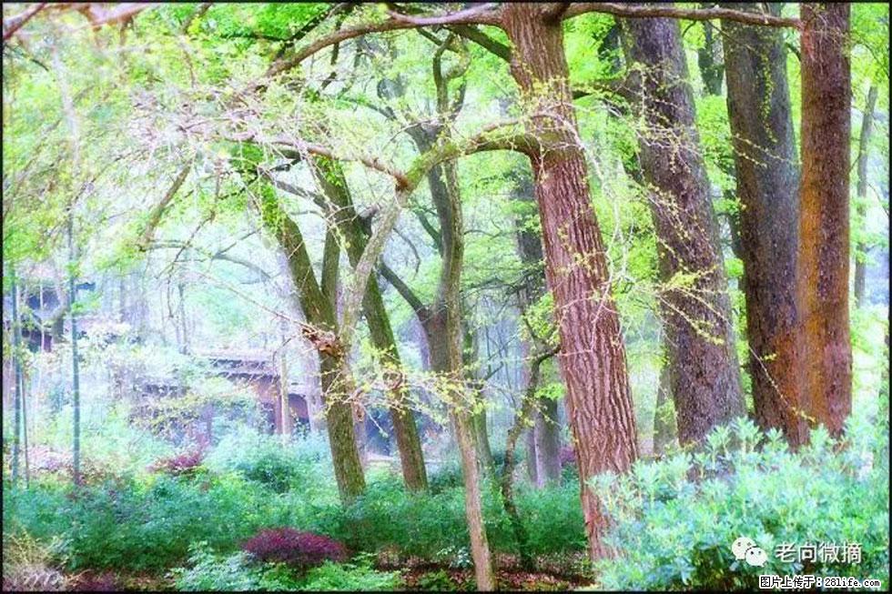 【春天，广西桂林灌阳县向您发出邀请！】在小龙村与春天约会 - 游山玩水 - 和田生活社区 - 和田28生活网 ht.28life.net