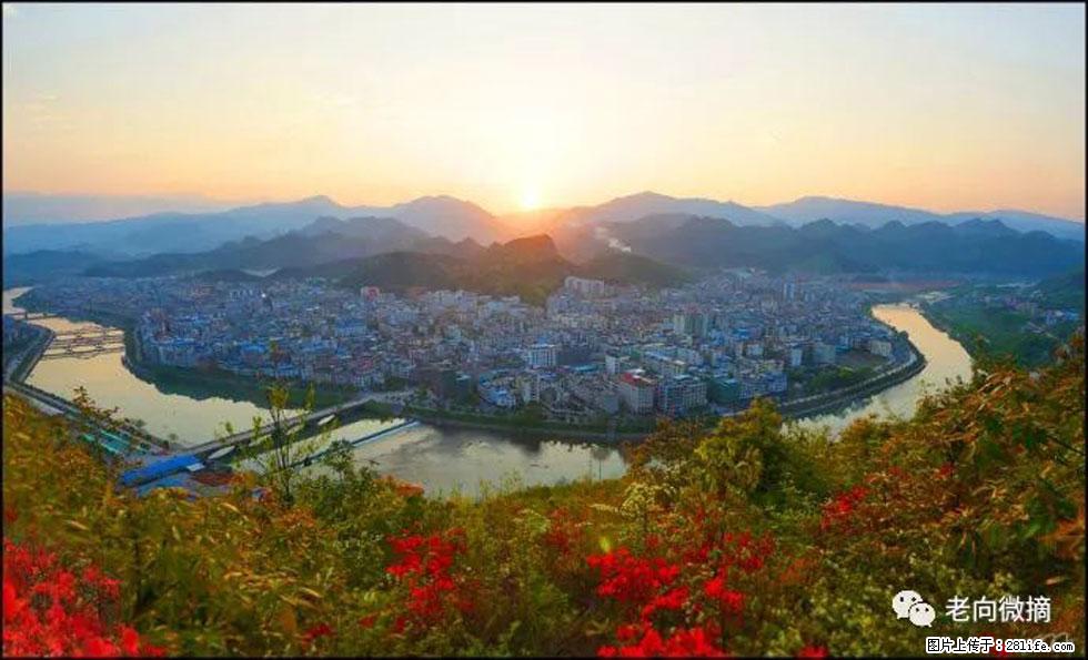 【春天，广西桂林灌阳县向您发出邀请！】登麒麟山，相约映山红 - 游山玩水 - 和田生活社区 - 和田28生活网 ht.28life.net