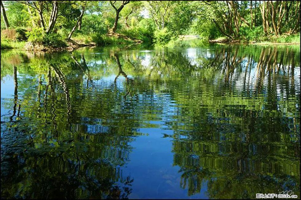 【春天，广西桂林灌阳县向您发出邀请！】熊家寨湿地公园 - 游山玩水 - 和田生活社区 - 和田28生活网 ht.28life.net
