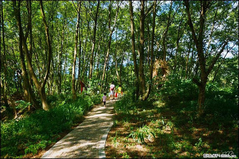 【春天，广西桂林灌阳县向您发出邀请！】熊家寨湿地公园 - 游山玩水 - 和田生活社区 - 和田28生活网 ht.28life.net