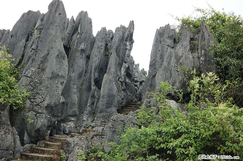 桂林旅游名城景点：灌阳文市石林 - 游山玩水 - 和田生活社区 - 和田28生活网 ht.28life.net