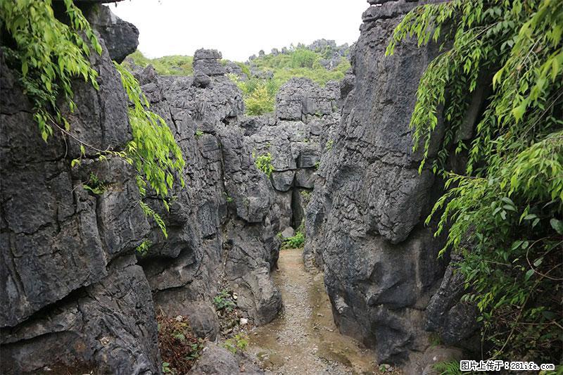 桂林旅游名城景点：灌阳文市石林 - 游山玩水 - 和田生活社区 - 和田28生活网 ht.28life.net