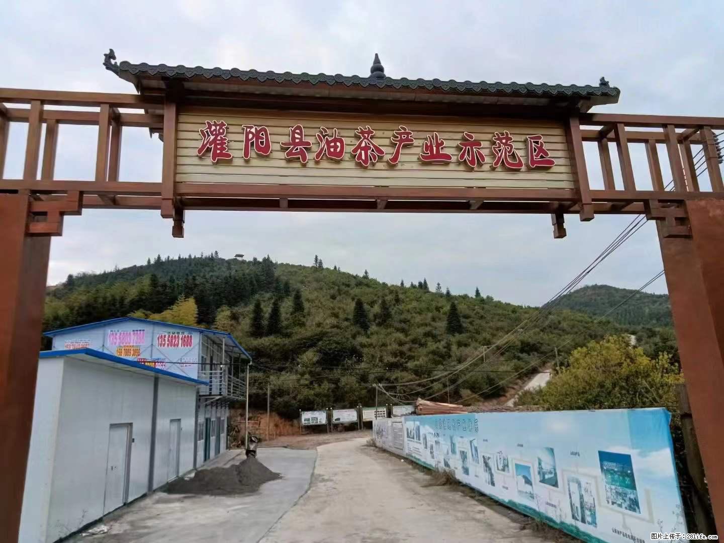 【灌阳县油茶产业示范区】一个有着充实的精神生活的人，对待身外之物自会有一种淡泊的态度 - 土特产 - 饮食特产 - 和田分类信息 - 和田28生活网 ht.28life.net