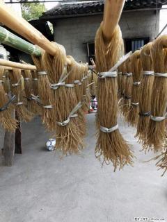 【灌阳正宗红薯粉】美女家里自己做的，干净卫生，假一赔十，价格合理，抢购电话：13737312895 - 和田28生活网 ht.28life.net