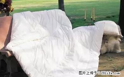 被子有异味？只要这样做，比晒太阳还强100倍！ - 家居生活 - 和田生活社区 - 和田28生活网 ht.28life.net