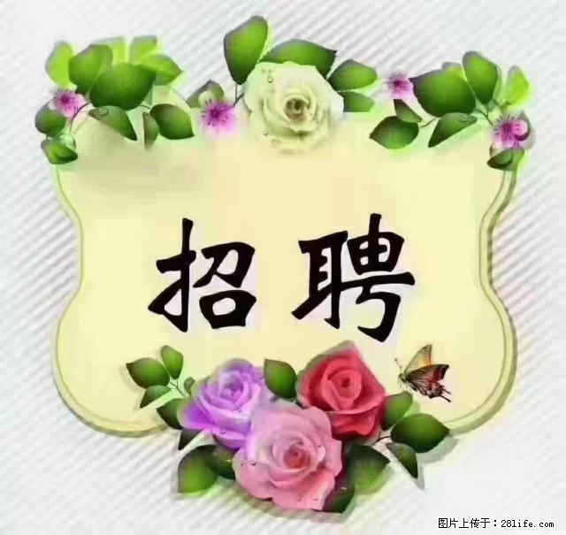 【招聘】住家育儿嫂，上户日期：4月4日，工作地址：上海 黄浦区 - 职场交流 - 和田生活社区 - 和田28生活网 ht.28life.net