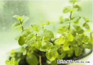 晕车、脚气、牙齿变黄、皮肤粗糙？学会这些三分钟搞定！ - 和田生活资讯 - 和田28生活网 ht.28life.net