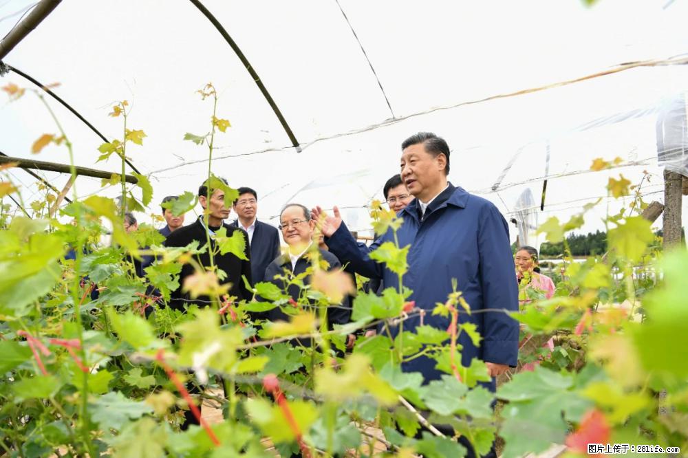 习近平赴广西考察调研 - 和田生活资讯 - 和田28生活网 ht.28life.net