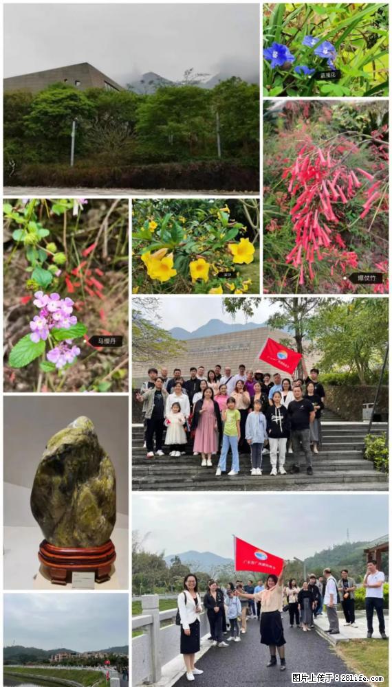 “粤灌文化 美好生活”油茶文化主题活动在广东深圳成功举办 - 和田生活资讯 - 和田28生活网 ht.28life.net