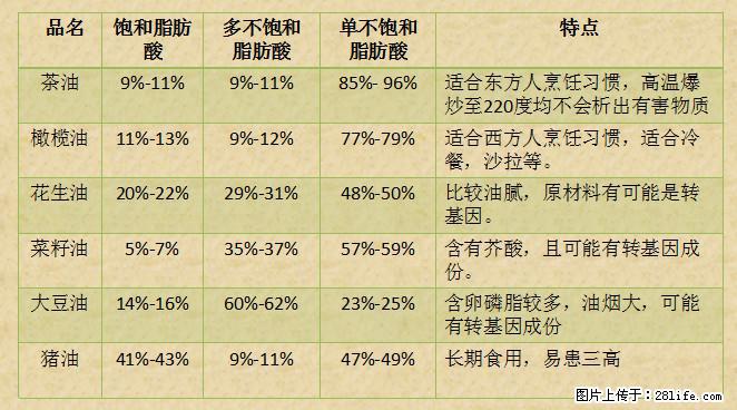 揭秘茶油的5大核心营养成分！被称为人体健康的“守护盾”！ - 和田生活资讯 - 和田28生活网 ht.28life.net