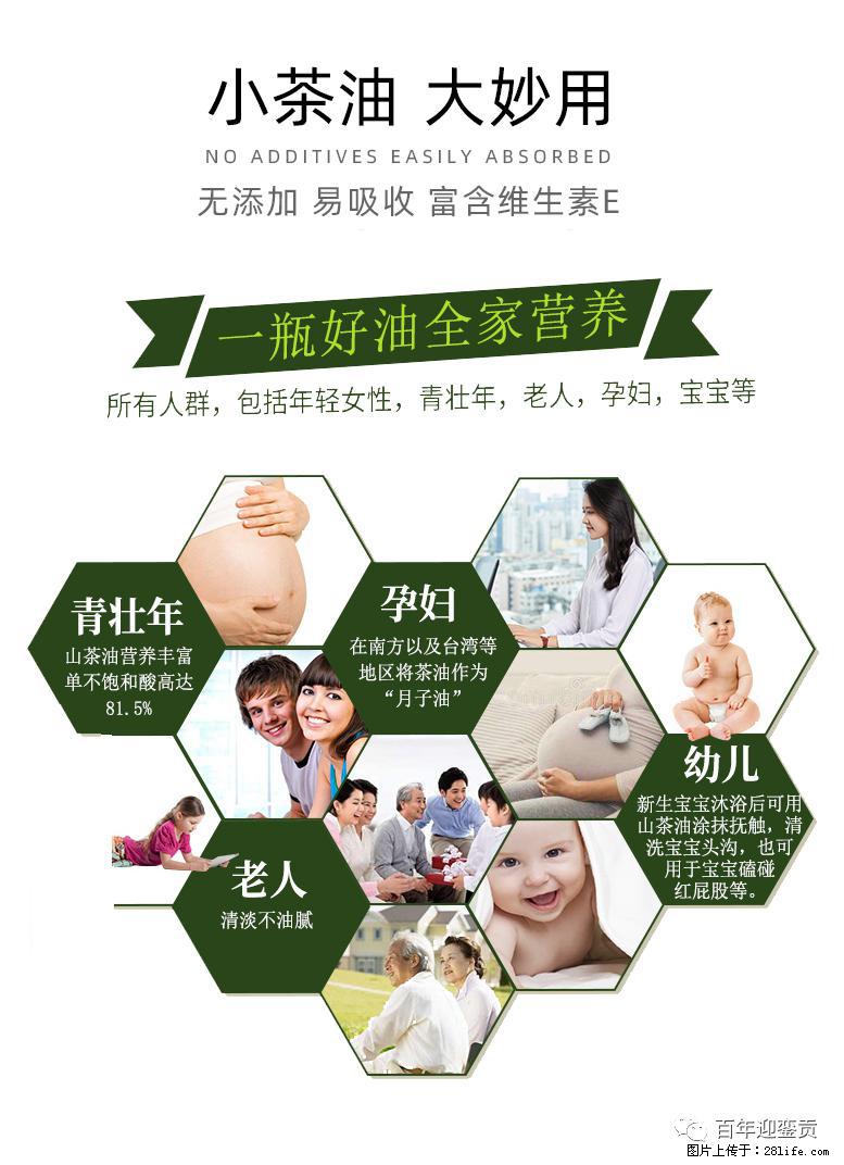 世界没有真相，只有认知，最好的食用油是中国的山茶油！ - 和田生活资讯 - 和田28生活网 ht.28life.net