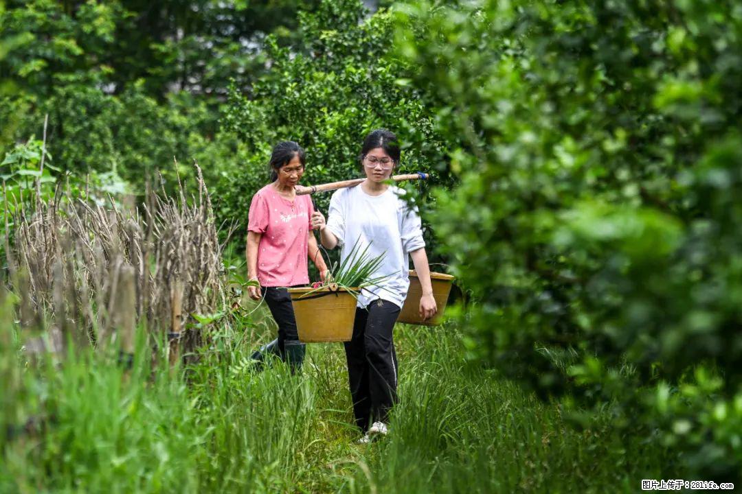 全网追的“扁担女孩”，找了一份暑假工，时薪12元 - 和田生活资讯 - 和田28生活网 ht.28life.net