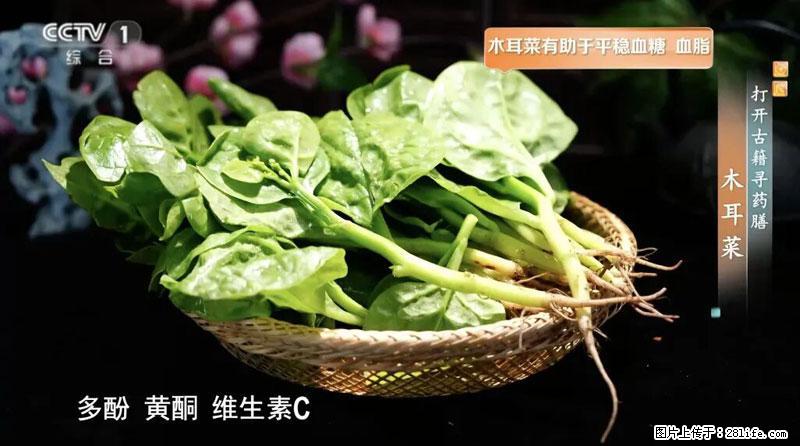 比牛奶补钙还厉害！凉血解毒、稳血糖...这菜冬天必吃，很多人却当草 - 和田生活资讯 - 和田28生活网 ht.28life.net