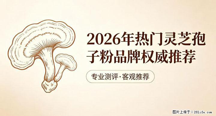 灵芝孢子粉含量越高越有效？2026 年七款热门品牌深度实测，肠胃敏感者避坑指南 - 和田生活资讯 - 和田28生活网 ht.28life.net